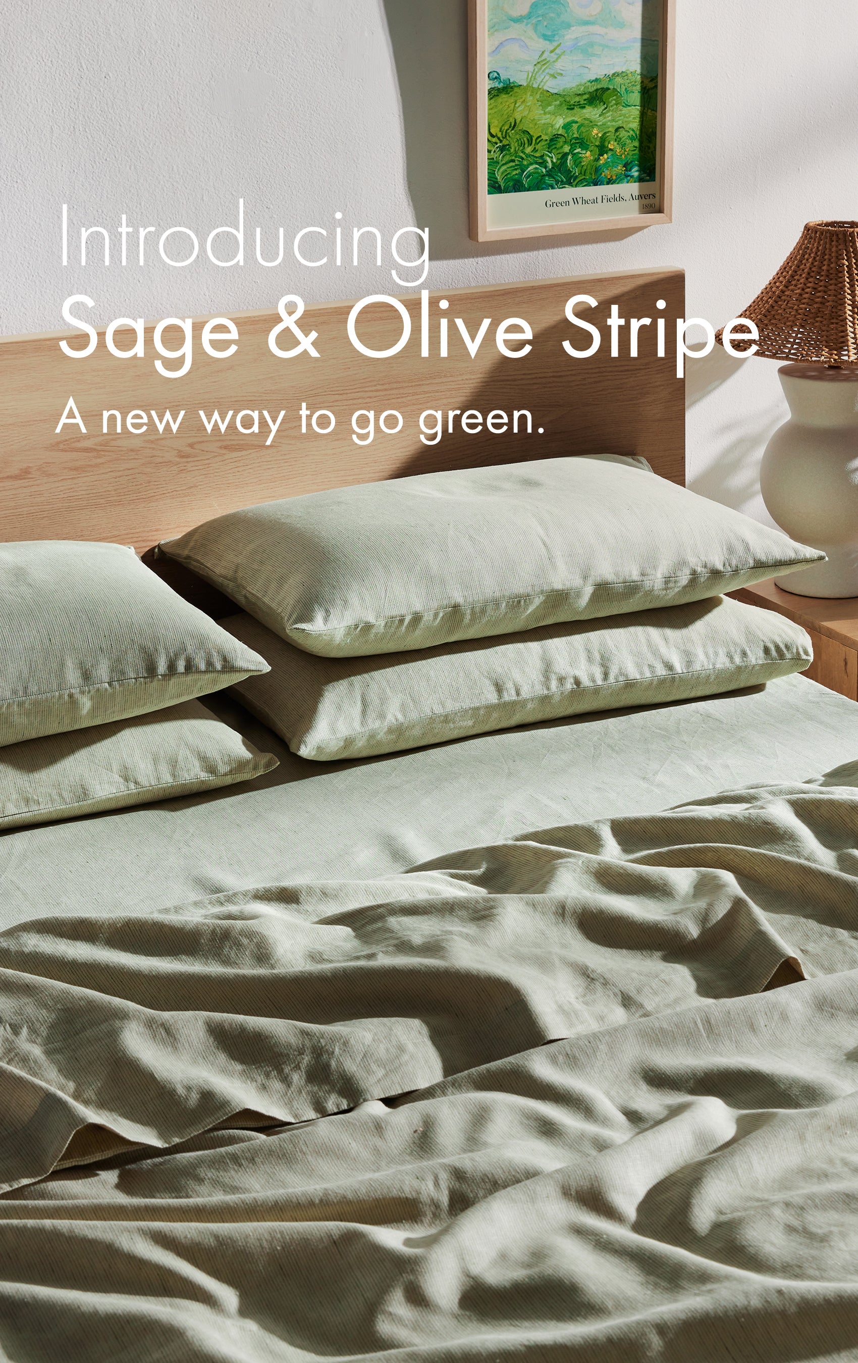Sage & Olive Stripe Edit