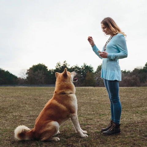 Woman talking to her dog