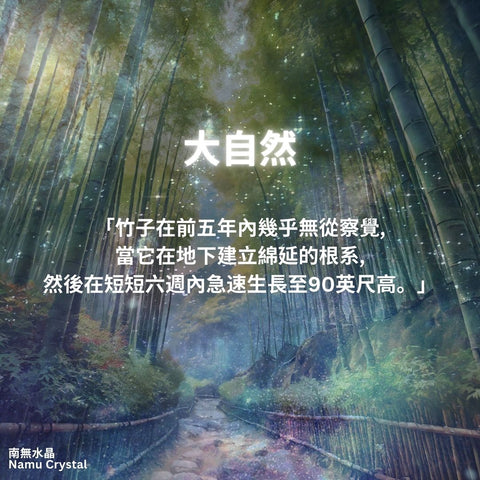 原子習慣書 習慣 命運