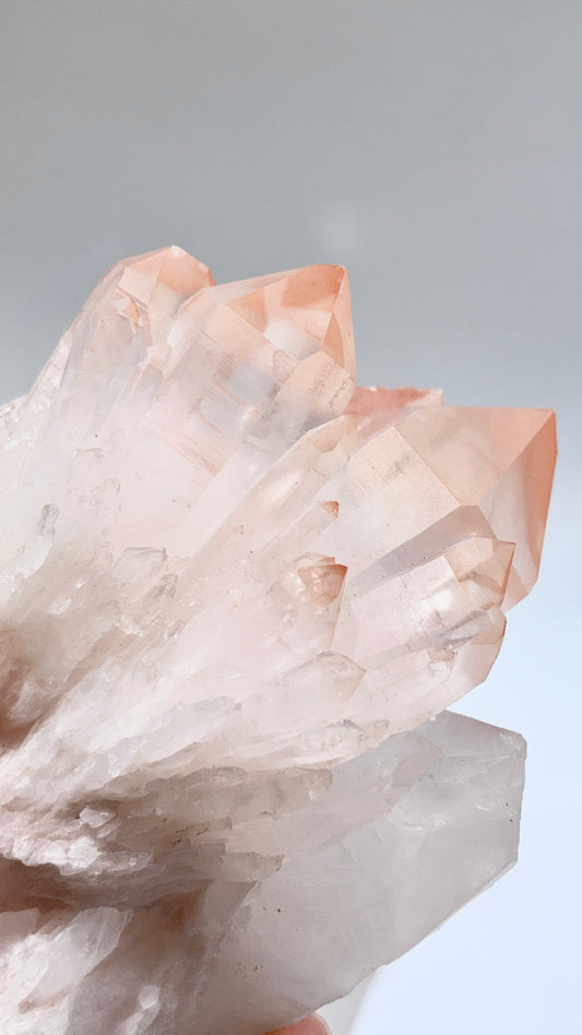 ピンクマニカラン クラスター　クローライトファントム　珍しい三面楽しめる水晶