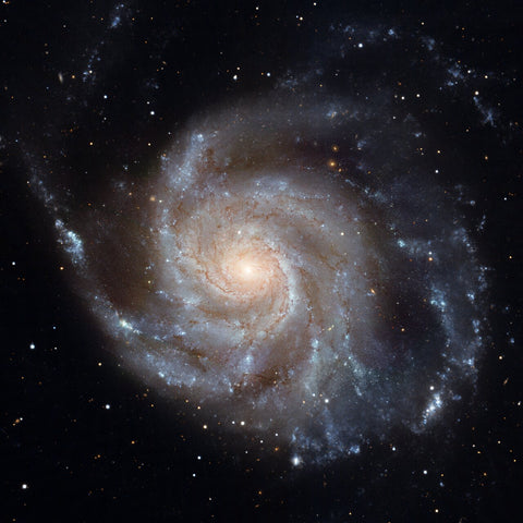 Esta imagem mostra a galáxia espiral Messier 101. Crédito: NASA, ESA, CXC, SSC e STScI