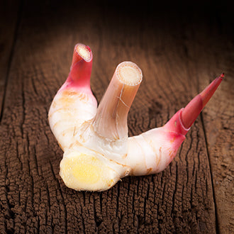 Galangal