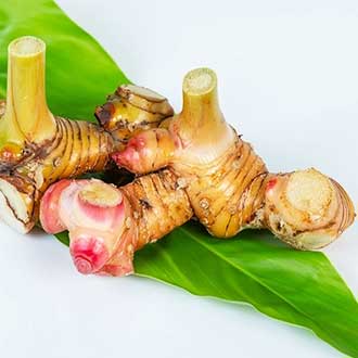 Galangal