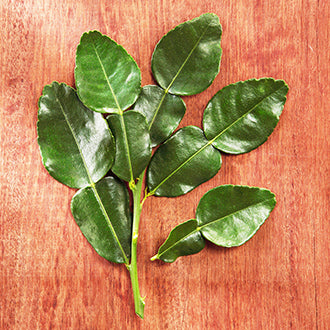 Kaffir Lime Leaves