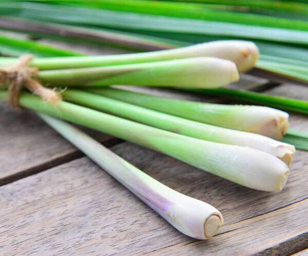 Lemongrass