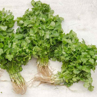 Cilantro tailandés