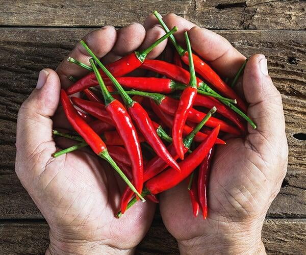 Piments thaïs