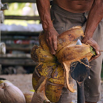 Thai coconut