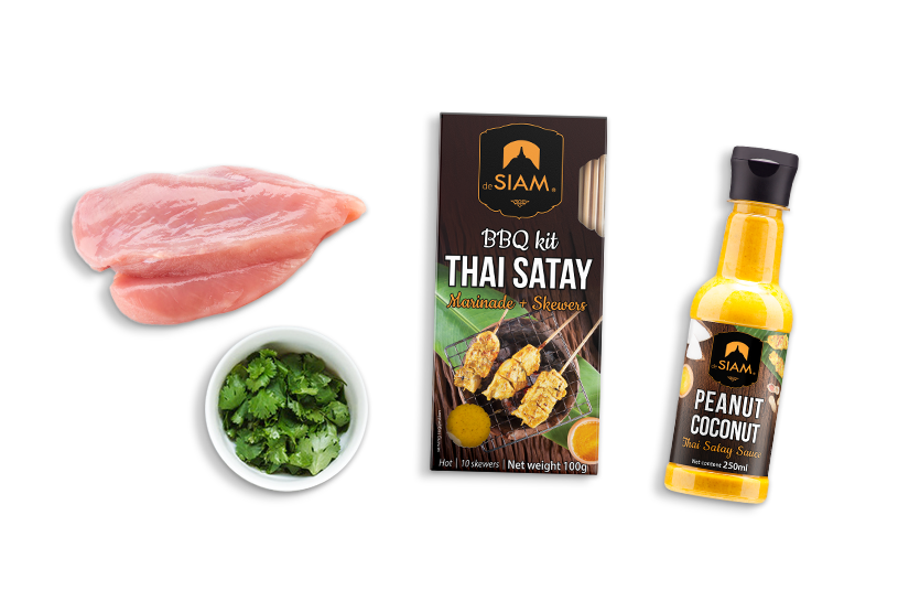 Chicken Satay ingredients