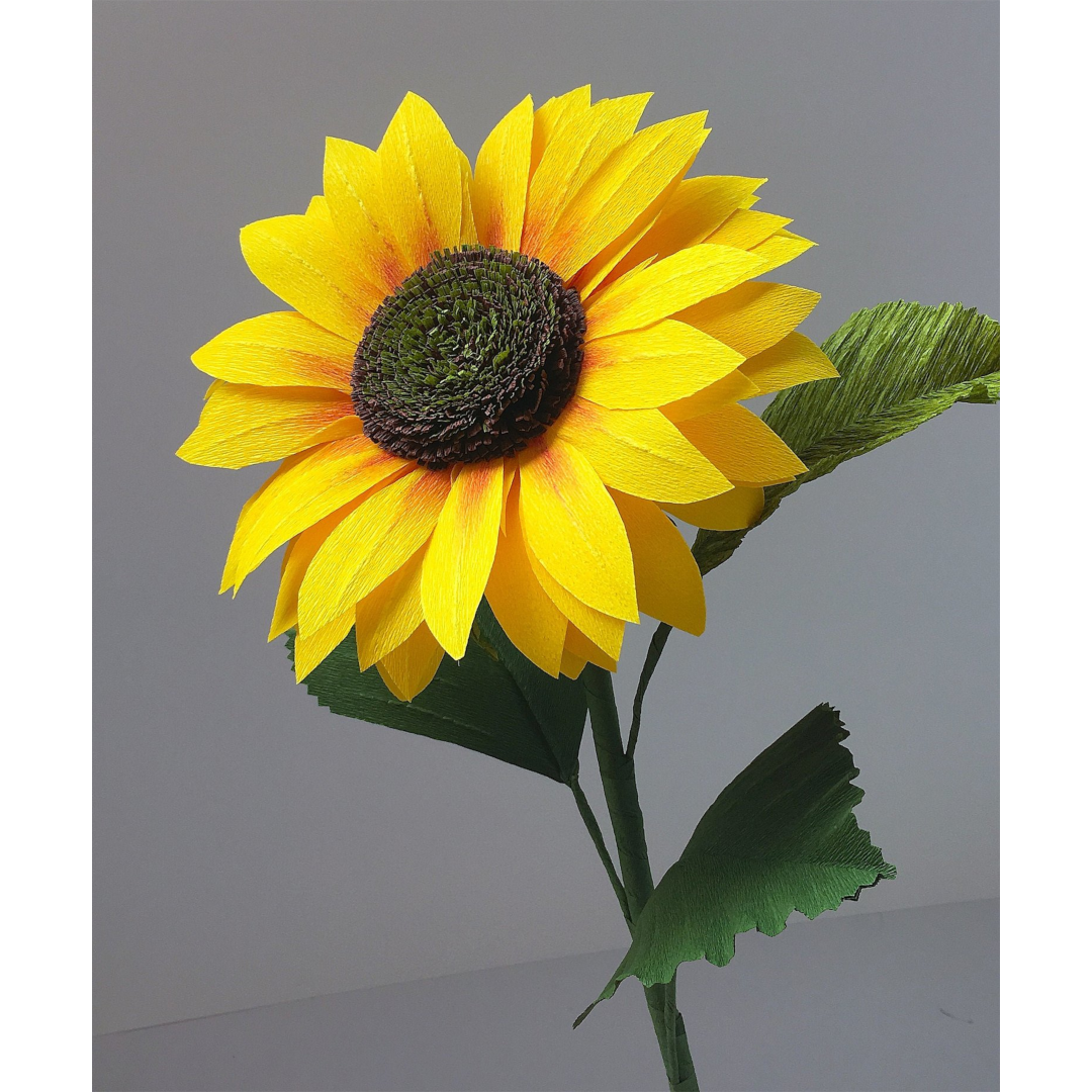 Paper Sunflower – Valentina's Flowers