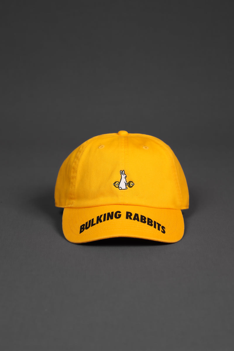 １着でも送料無料 XENO x ＃FR2 BULKING RABBITS COTTON CAP キャップ