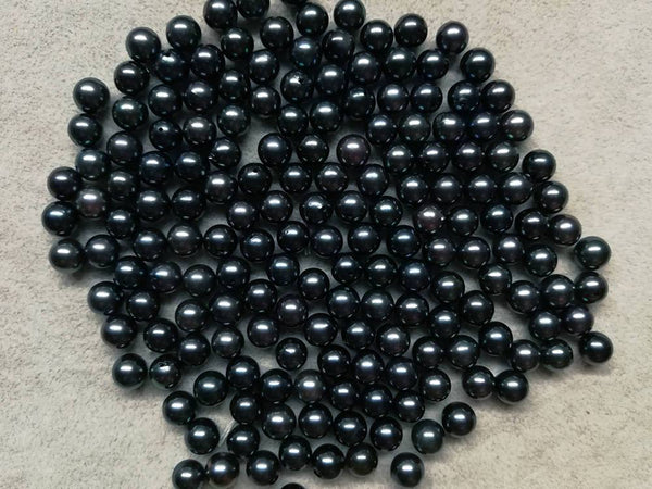 Black Dyed Akoya - Marina Korneev Pearls