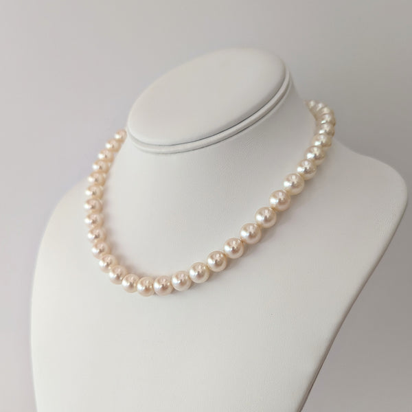 White Akoya Pearls with Cream Overtone - Marina Korneev Pearls