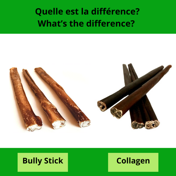 What’s the difference between bully stick and collagen for dog? Différences entre bully stick et collagène?