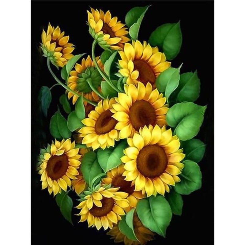 Sunflowers On Black Background | Paint By Numbers Paradise