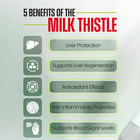 5 Benefits of The Milk Thistle