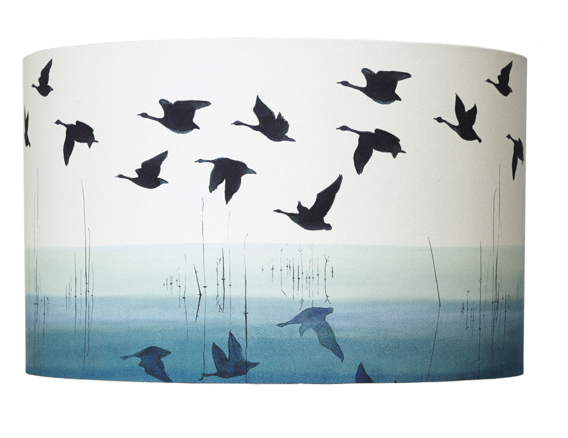 light shade birds