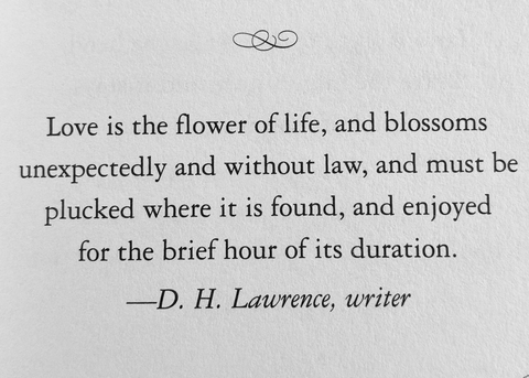 Love poem by D.H. Lawrence