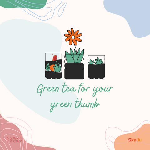 green tea for your green thumb