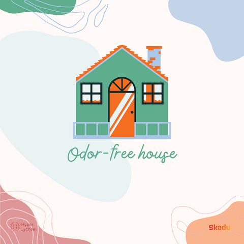 odor free house