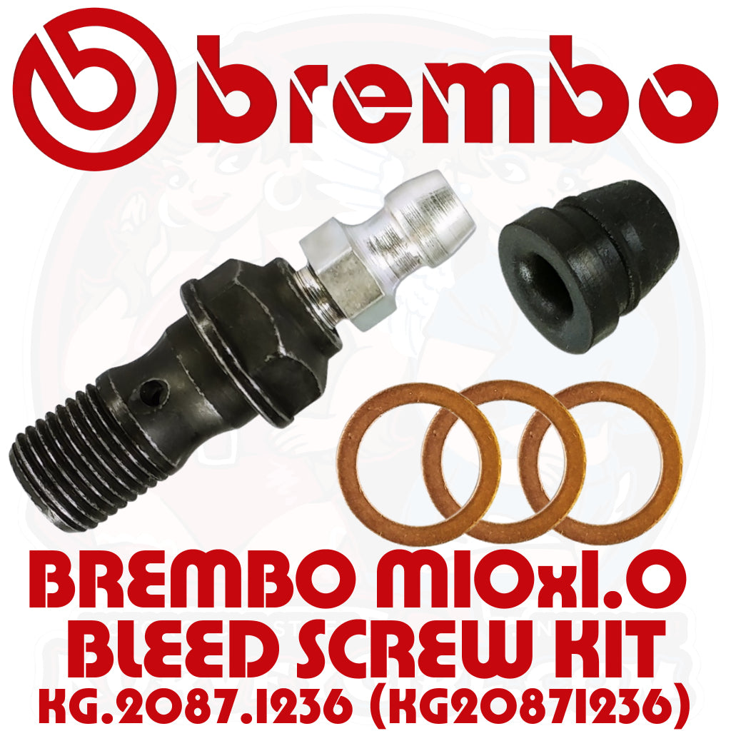 KurveyGirl Brembo M10x1.0 Bleed Screw Kit -
Assembed parts with copper washers