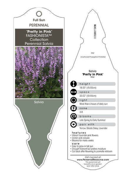 Proven Winners Plant Label