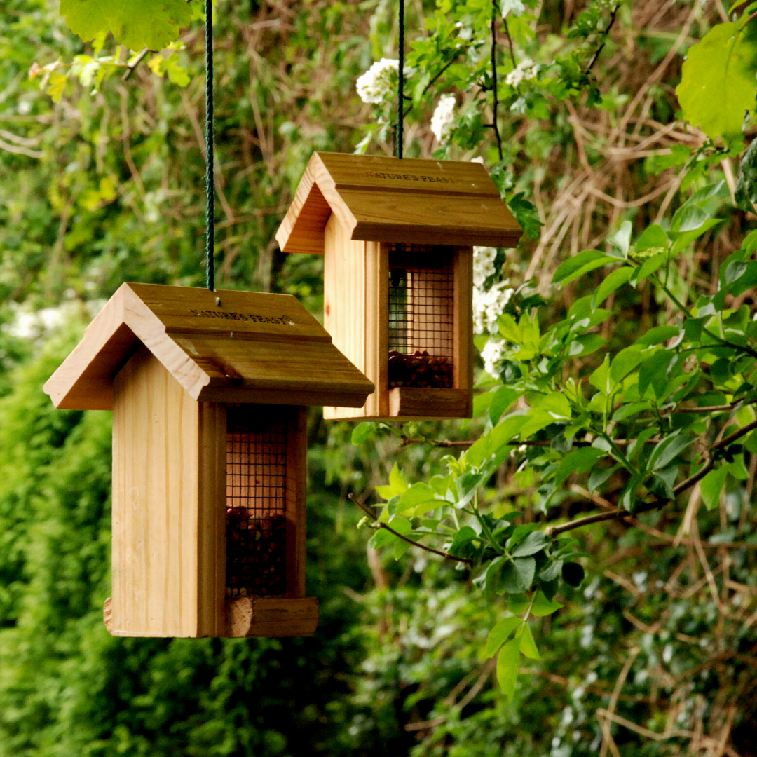 ritchie feed and seed bird feeders