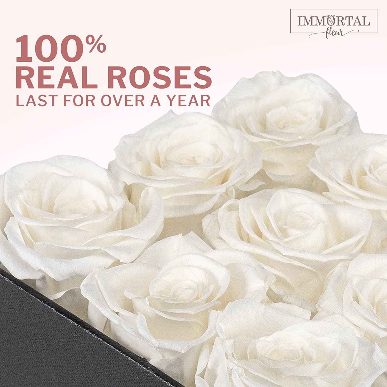 Immortal Fleur Rosas preservadas Flores reales frescas dispuestas en e –  Yaxa Tienda Colombia