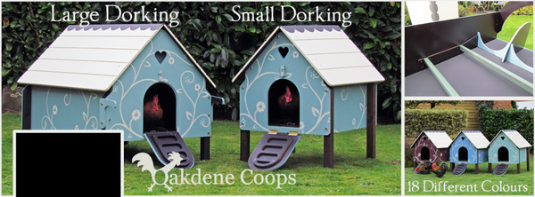 chicken_coops_oakdene_coops_sam_latham