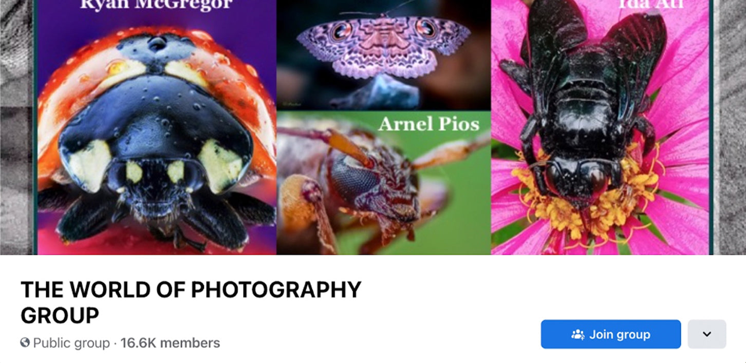 the world of photography group