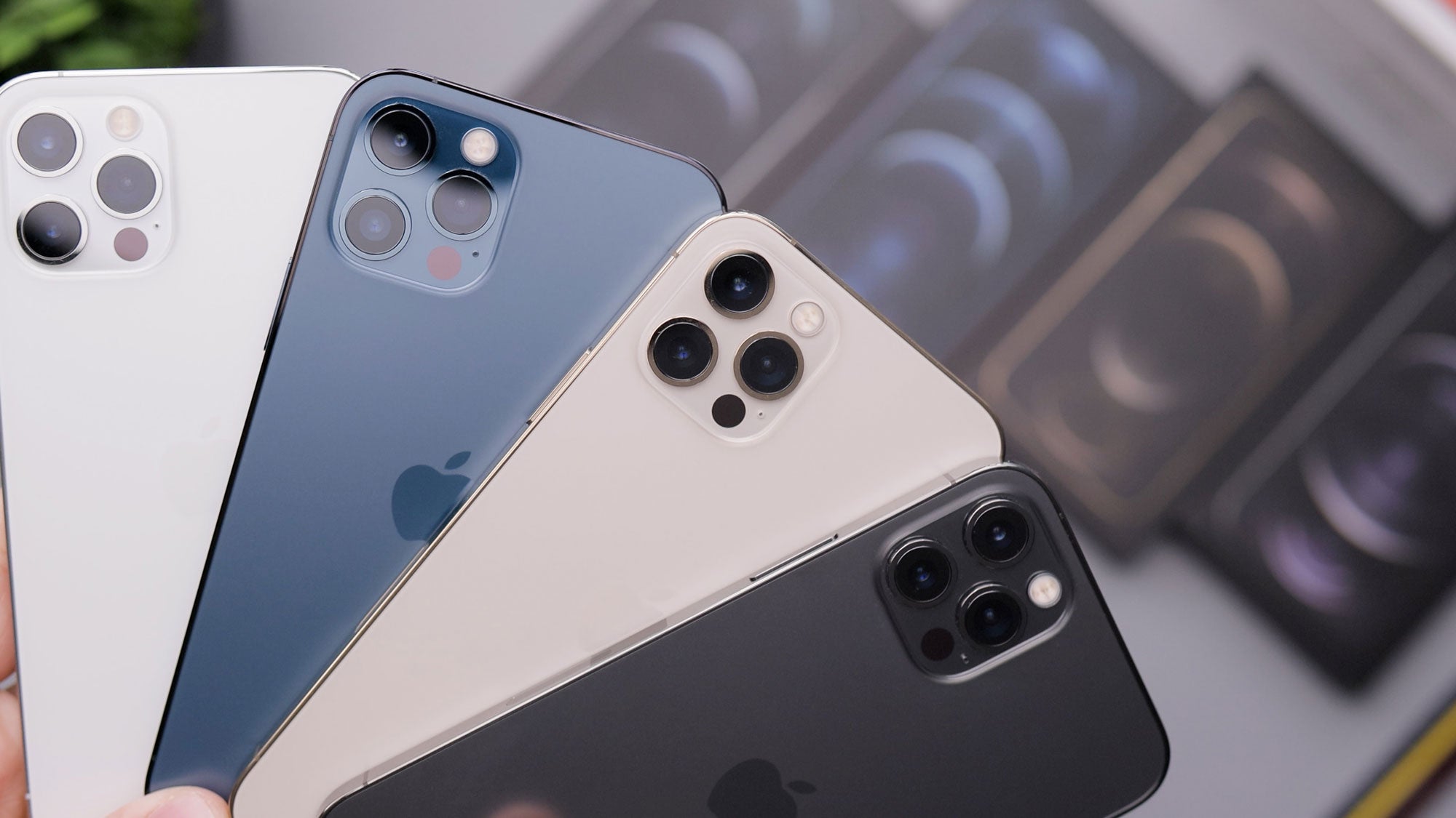 iPhone 12 Pro and Pro Max colors