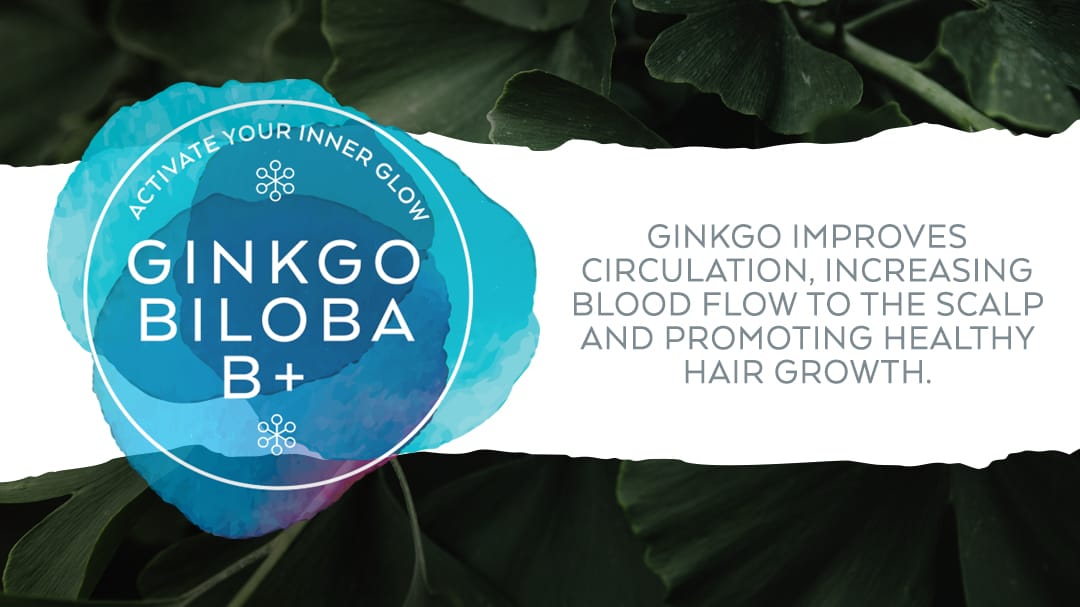 Ginkgo Hair Care Plan - Simone Thomas Wellness hair loss treatment