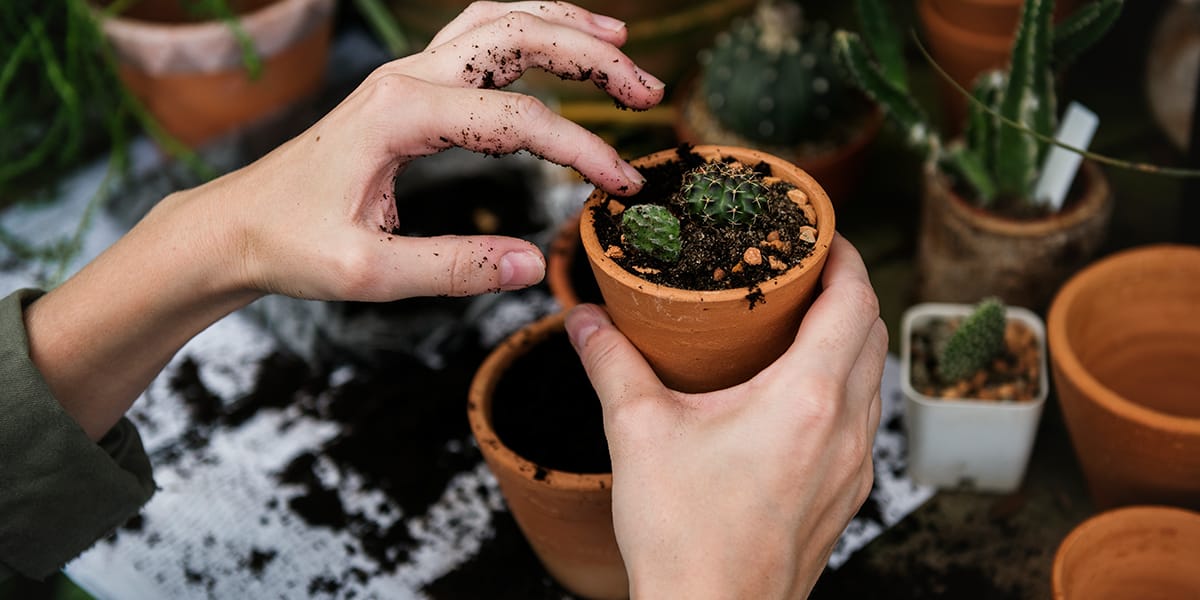 Lady planting a seed in a plant pot