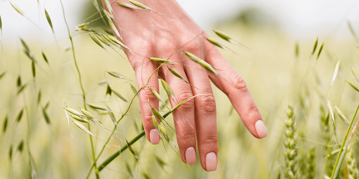 Hands in an organic farm field