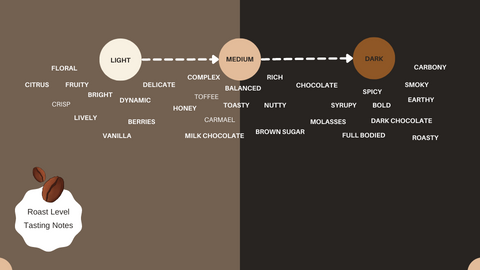 Roast diagram that displays characteristics of roasts from light to dark.