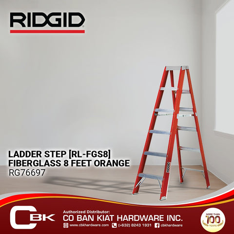 Ridgid ladder step