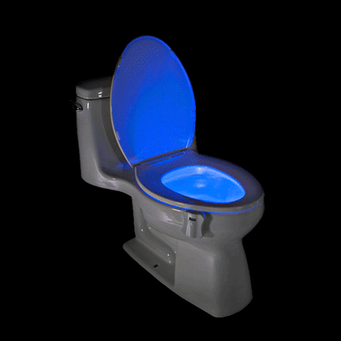 geekyget-lighting-motion-activated-disco-toilet-bowl-light-3918491943017_637x.gif