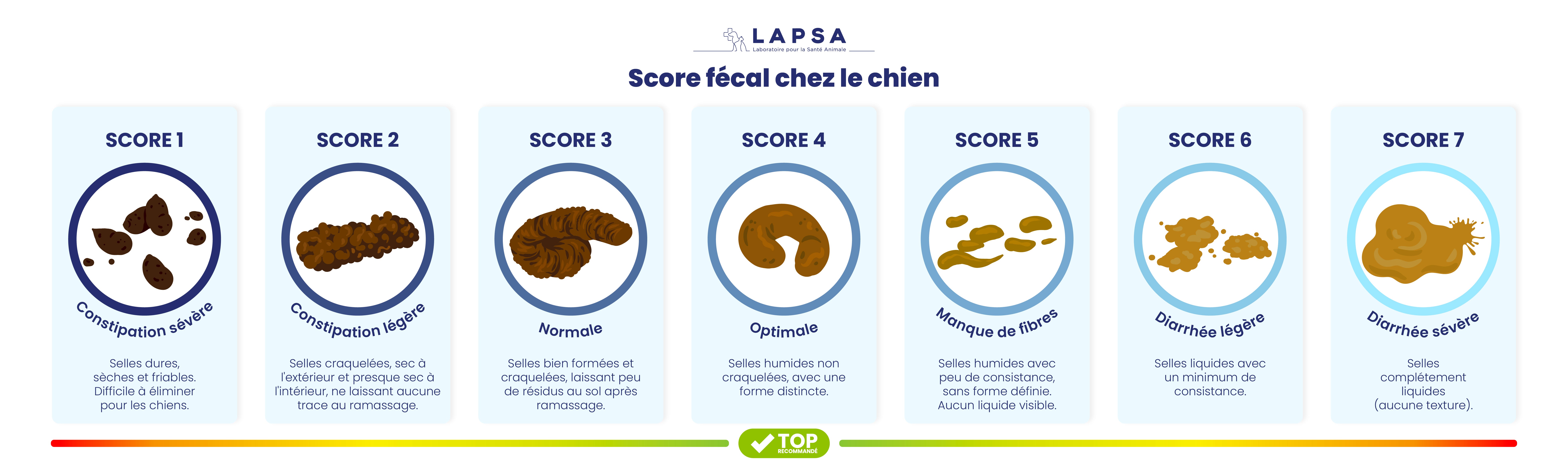 CREA - ARTICLES ELEVEURS - SCORE FECAL CHEZ LE CHIEN.jpg__PID:c44cf508-ff85-4dd0-b819-8519b42c4c7d