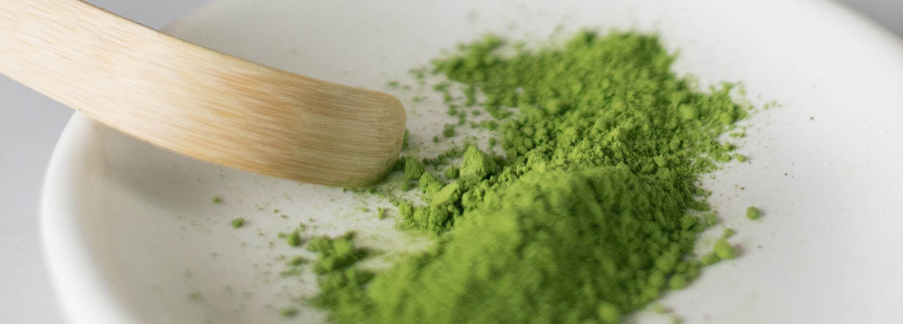 Le thé vert matcha est une poudre de feuilles de thé