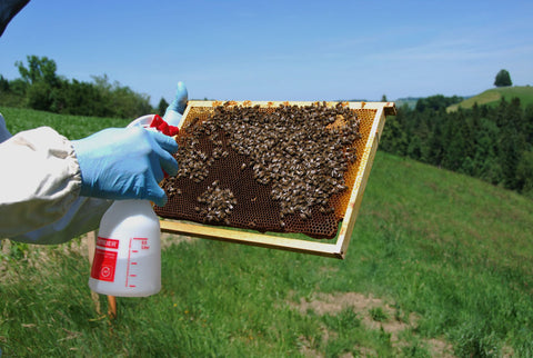 Applying Oxuvar oxalic acid by spraying to beehive
