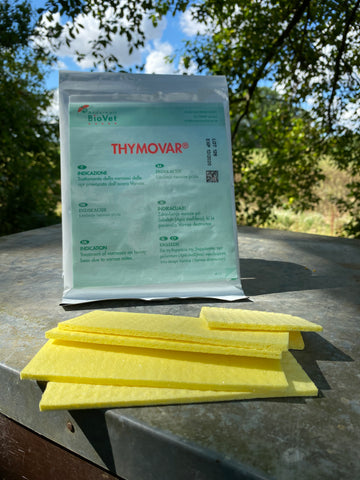 Thymovar thymol varroa treatment strips on beehive