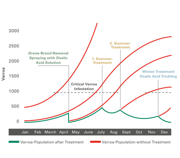 Varroa year-round treatment graph