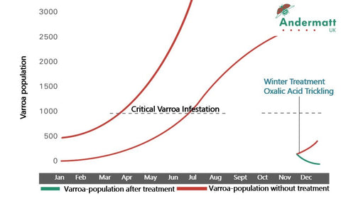 Graph showing effect of a winter varroa mite treatment on population growth the following spring.
