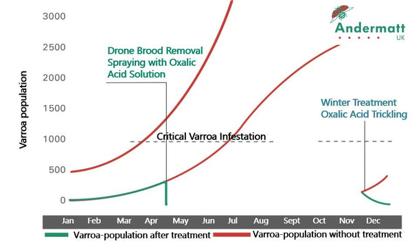 Spring varroa mite treatment graph before installing honey supers