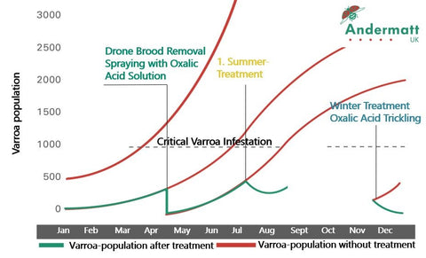 Graph showing summer varroa mite management after honey harvest