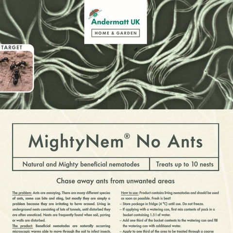 Nematodes for ants