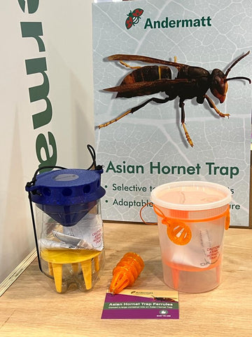 new live asian hornet traps