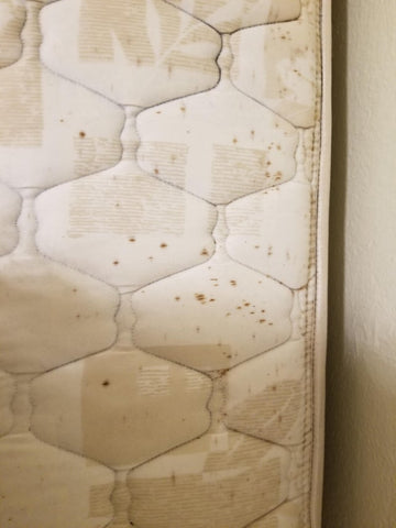 Brown stains on a mattress due to bed bugs