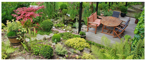 Photo of a beautiful buxus-filled garden in summer