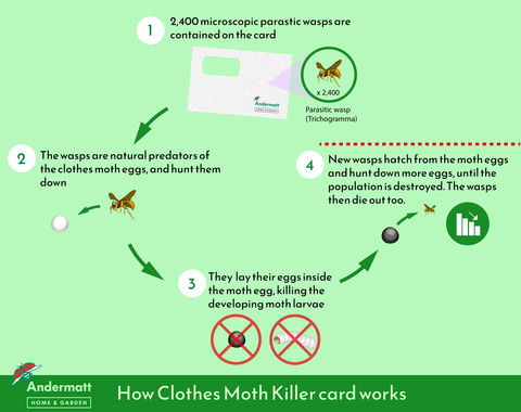 Diagram of how clothes moth killer works